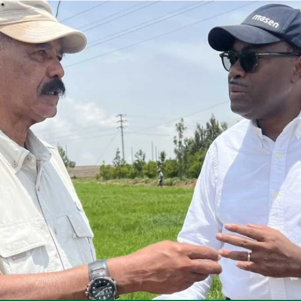 African Development Bank to support Eritrea's economic growth